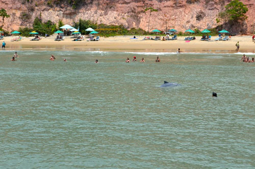 Baía dos Golfinhos (Praia da Pipa, Brasil)