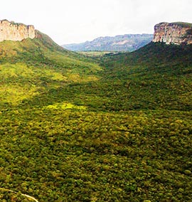 Chapada Diamantina - Trekking no Vale do Pati