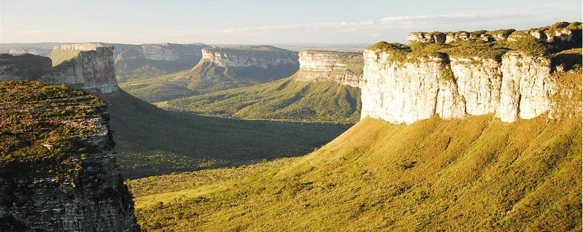 Desenho esquemático do habitat vala na Fumaça, Chapada Diamantina